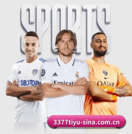 3377体育五大内容板块,覆盖赛事直播与实时比分（3377 SPORTS）
