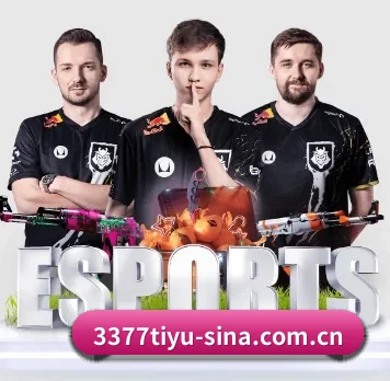 国际化进程 - 3377 SPORTS